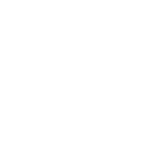 PT Petra Vida Makmur Logo